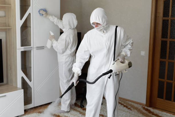 Best Post-Flood Mold Remediation in Black Forest, CO